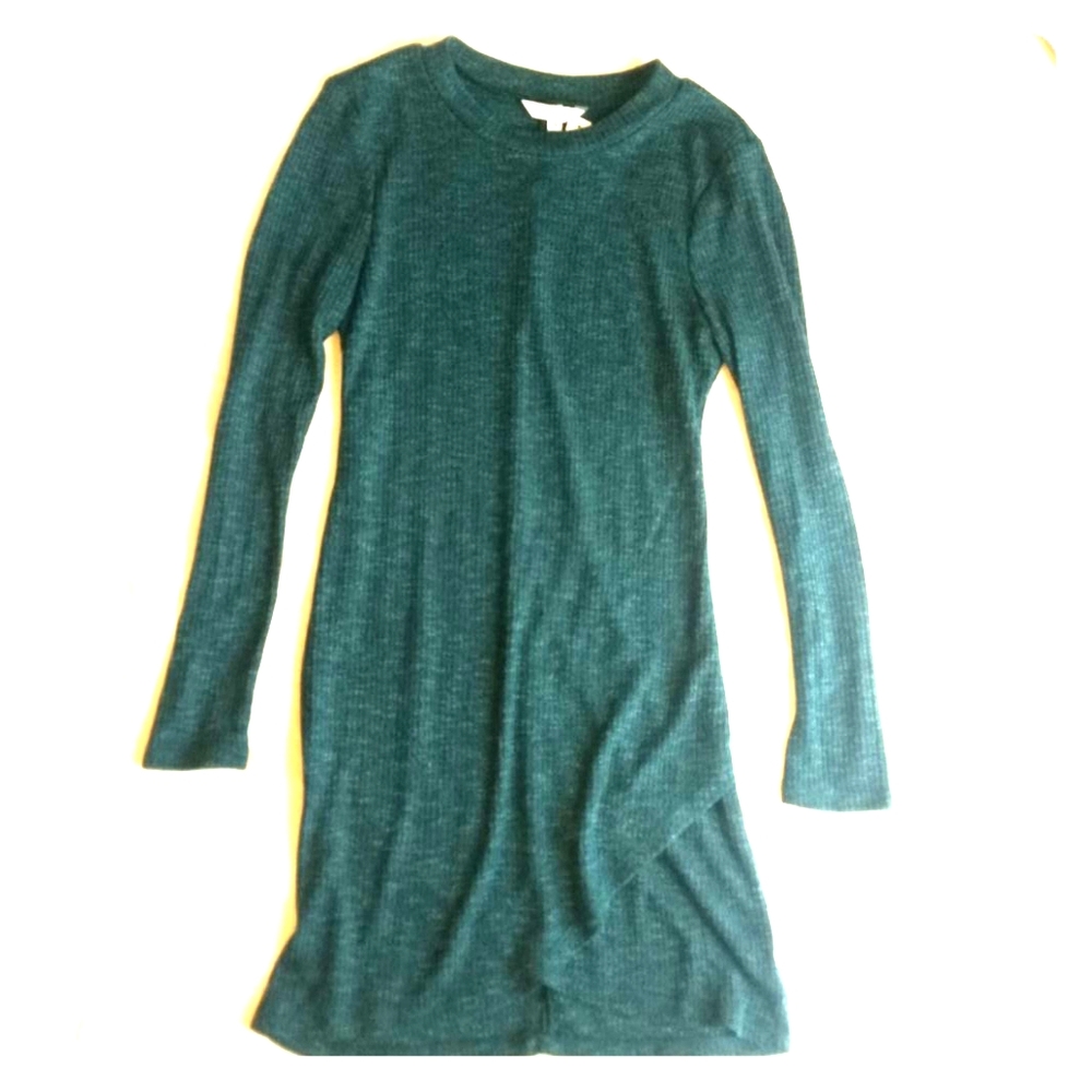 NWT long-sleeved dress. Speechless from Von Maur.